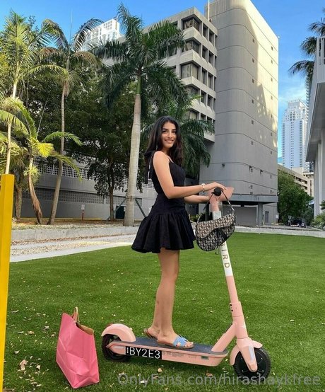 hirashaykfree estrella libre galería