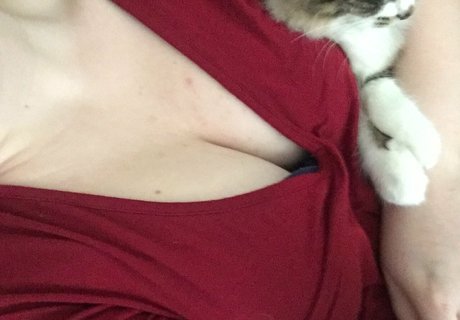 geminiscamp actriz xxx galerías