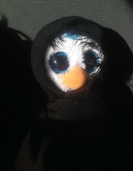 geminiscamp desnudos de estrellas porno fotos