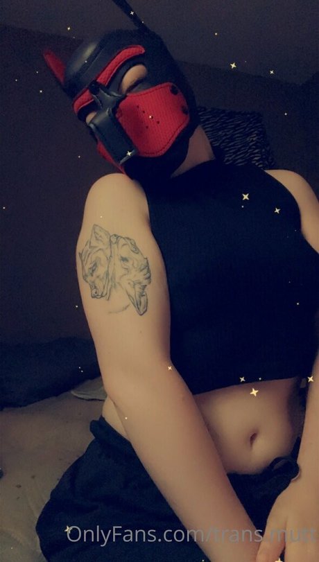 trans mutt arte estelar imágenes