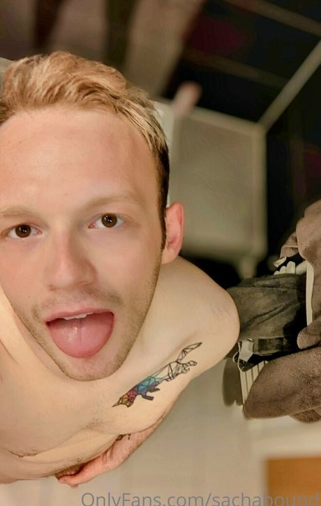 sachabound modelo gratis foto