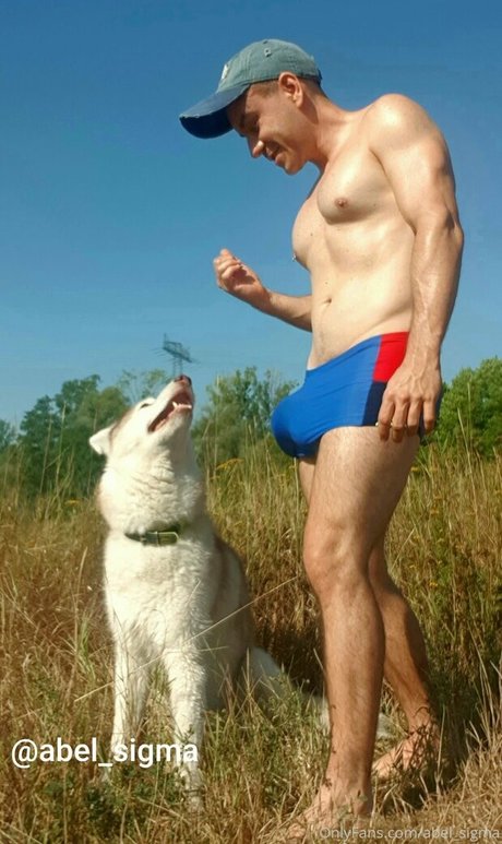 abel sigma estrella libre galerías