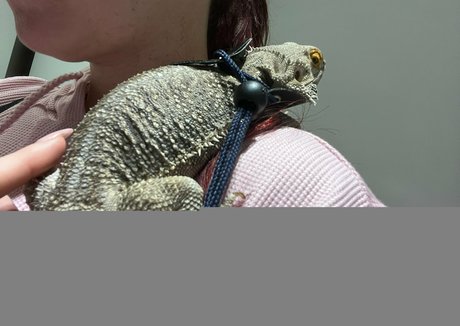 rubia con coño peludo onlyfans hd desnudo archivo