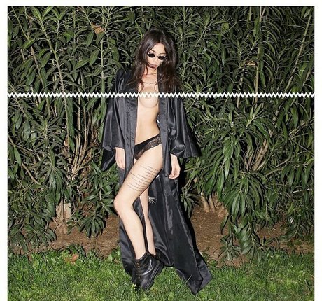 Didem Dinc arte estelar recopilación