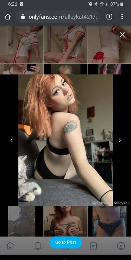 Alleykat421 estrella porno en alta definición recopilación