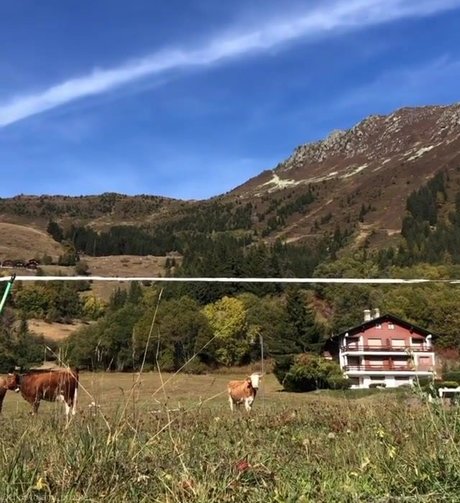 krippymami modelo pornografico recopilación