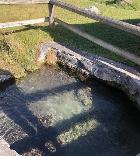 krippymami estrella pornografica imagen