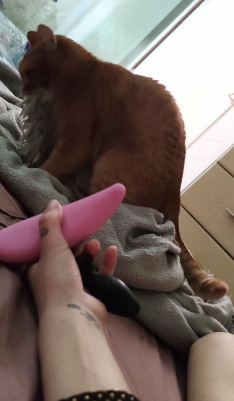 onlyfans de estrellas porno desnudos bonitos imágenes