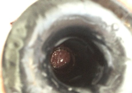 theabigailmae actriz xxx foto