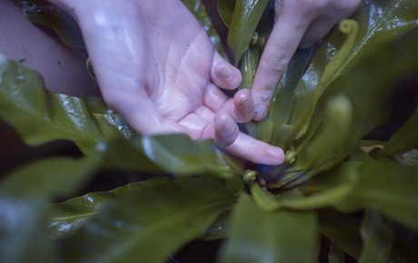 Kat Malone actriz de desnudos galería