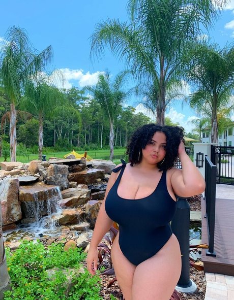 Deanelizyunes estrella perfecta galerías