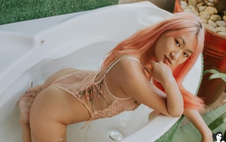 ayaska arte modelo galería