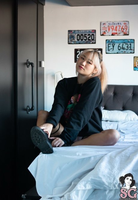 ayaska estrella libre imagen