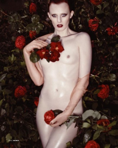 Karen Elson estrella porno de arte imagen