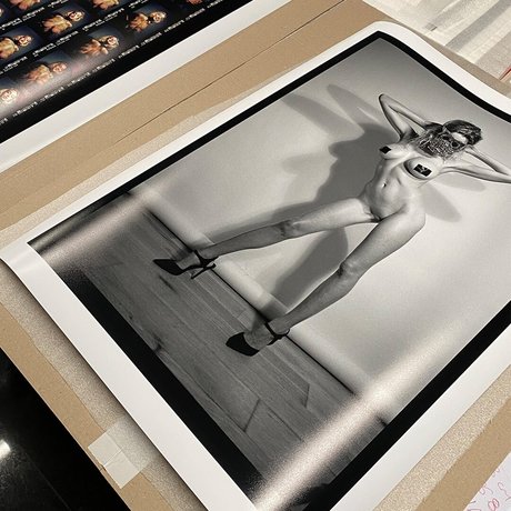 Elle Brittain estrella porno superior galerías