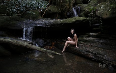 Roshie estrella porno xxx foto