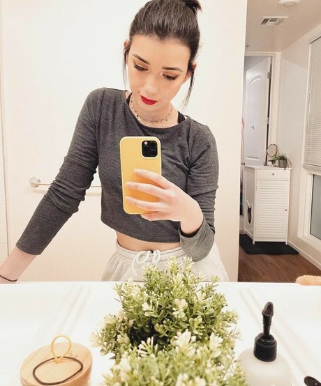 Shubble modelo gratis recopilación