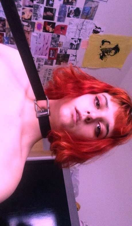 Alguem Tem Algo arte estelar fotos