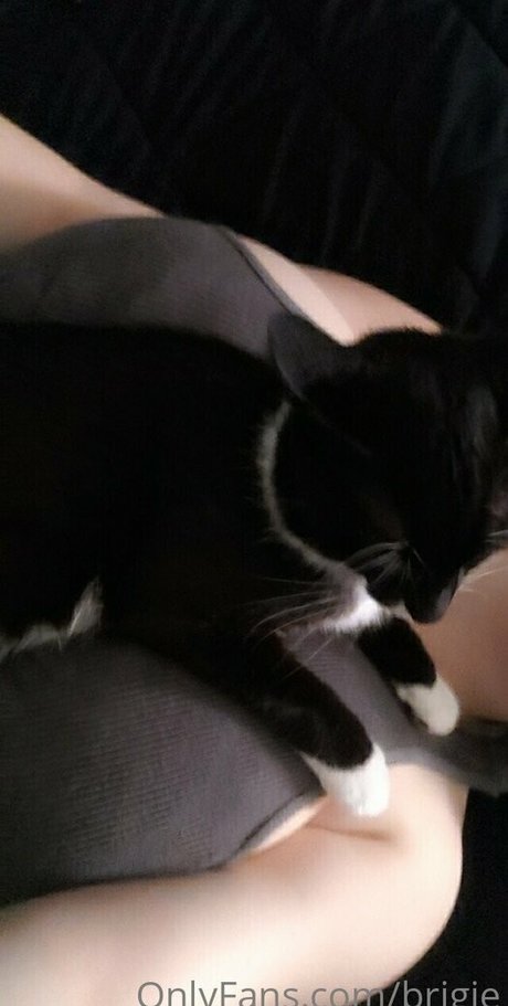 Brigitaitken desnudos estrella porno galerías