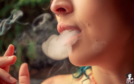 Peregrina estrella bonita galería