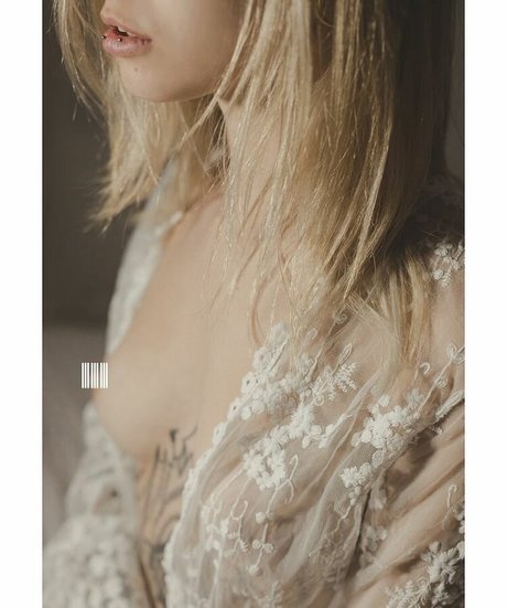 pandatylr estrella superior imágenes