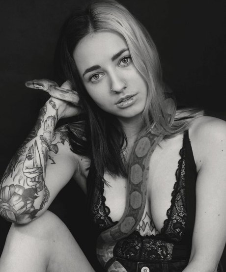 pandatylr estrella porno perfecta galerías