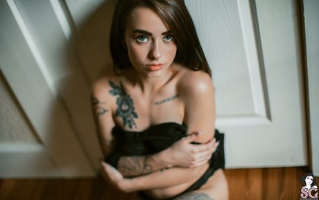 Vyne estrella hd foto