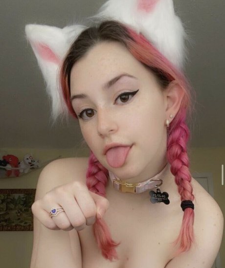strawburrykitten estrella foto