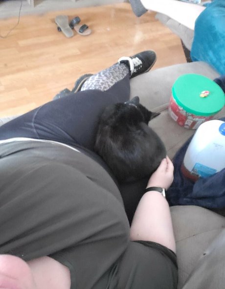 pandafluff1137 modelo pornografico galería