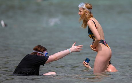 Nicola Peltz bonita estrella foto