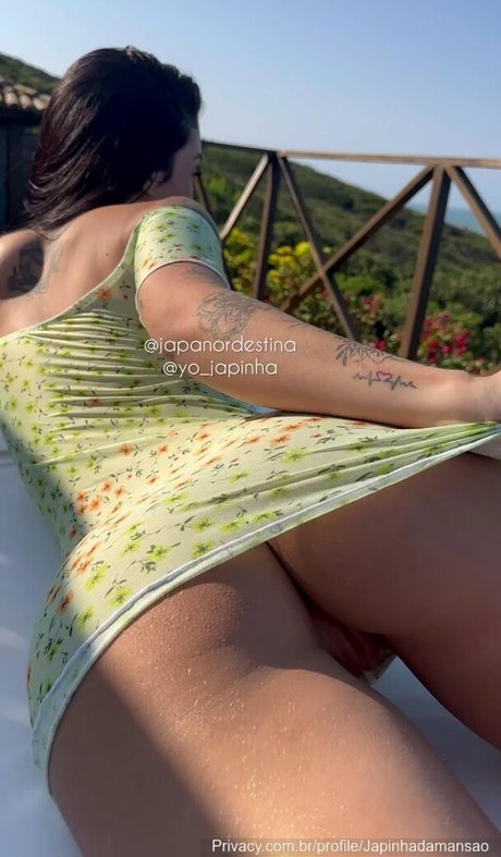 Japa Ale estrella de alta calidad imágenes