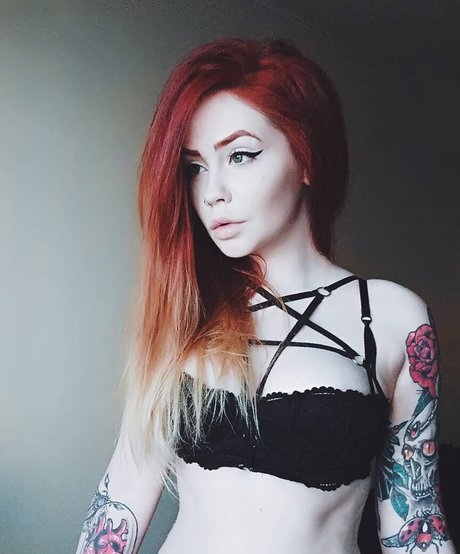 Margaritadirge estrella exclusiva recopilación