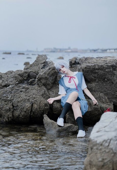 Himee lily estrella superior galería