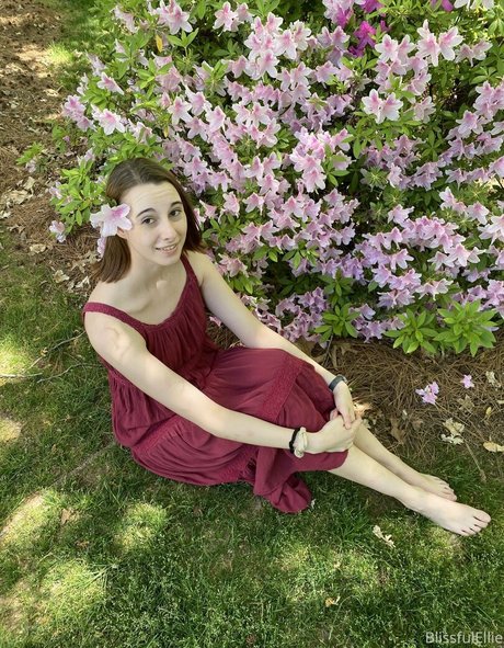 blissfulellie libre de estrellas imagen