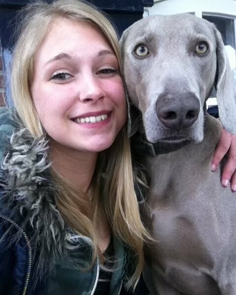 siswetlive estrella superior foto