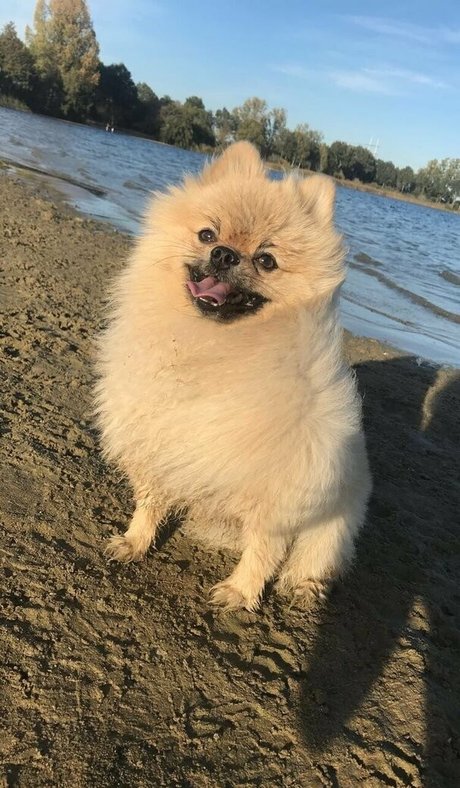 siswetlive estrella hermosa galería