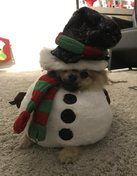 siswetlive mejor actriz galería