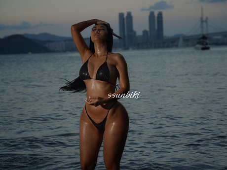 Ssunbiki arte estelar galerías