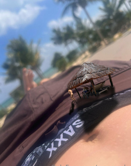 macrocole estrella hermosa galería