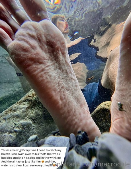 macrocole arte modelo recopilación