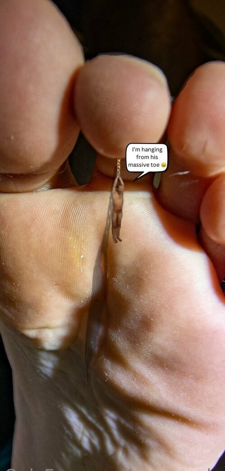 macrocole estrella porno adulto recopilación