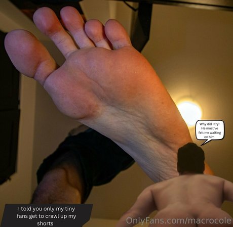 macrocole estrella porno hd archivo