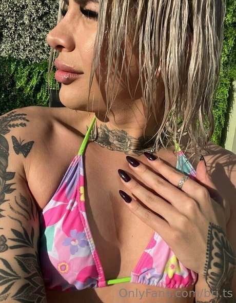 bri ts estrella del arte galería