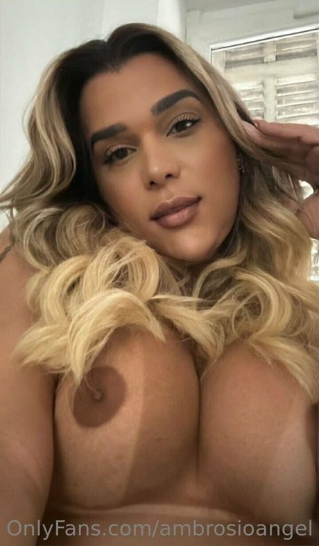ambrosioangel estrella libre galerías