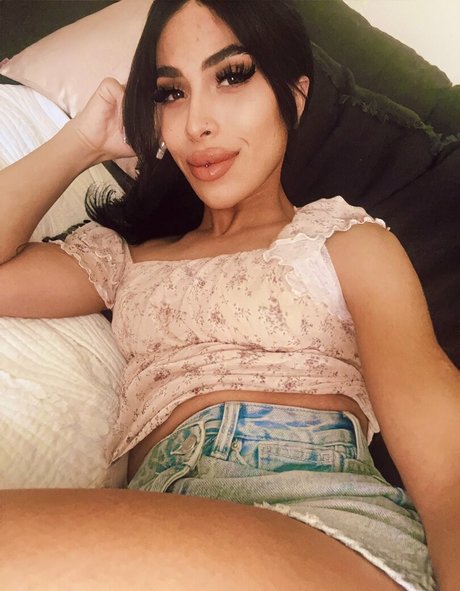 ts avery69 mejor modelo recopilación