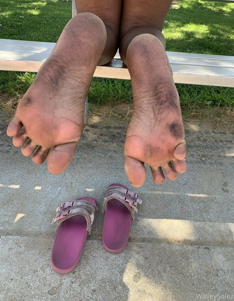 waveysolezz estrella libre galería