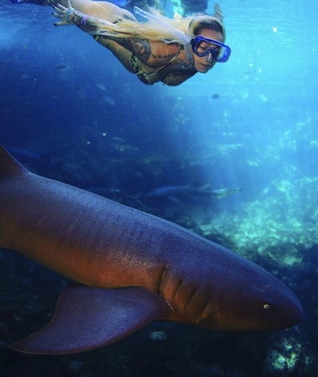 ashlynxdiamond estrella porno del sexo galerías