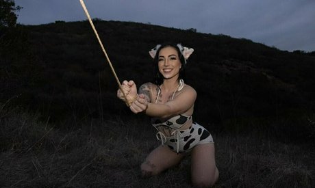 babybear teddy estrella recopilación