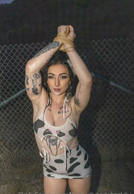 babybear teddy modelo desnudos foto