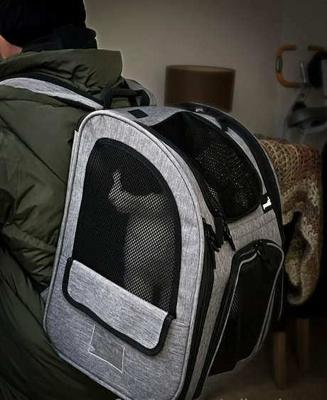 sulis minerva modelo sexual archivo